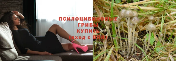 mdpv Беломорск