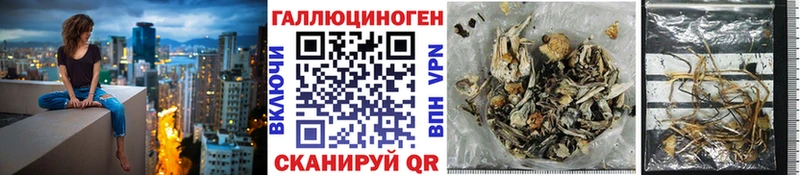 купить   Камбарка  Псилоцибиновые грибы мухоморы 